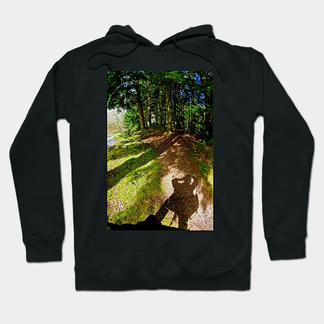 A WALK IN THE PARK Hoodie by dumbodancer